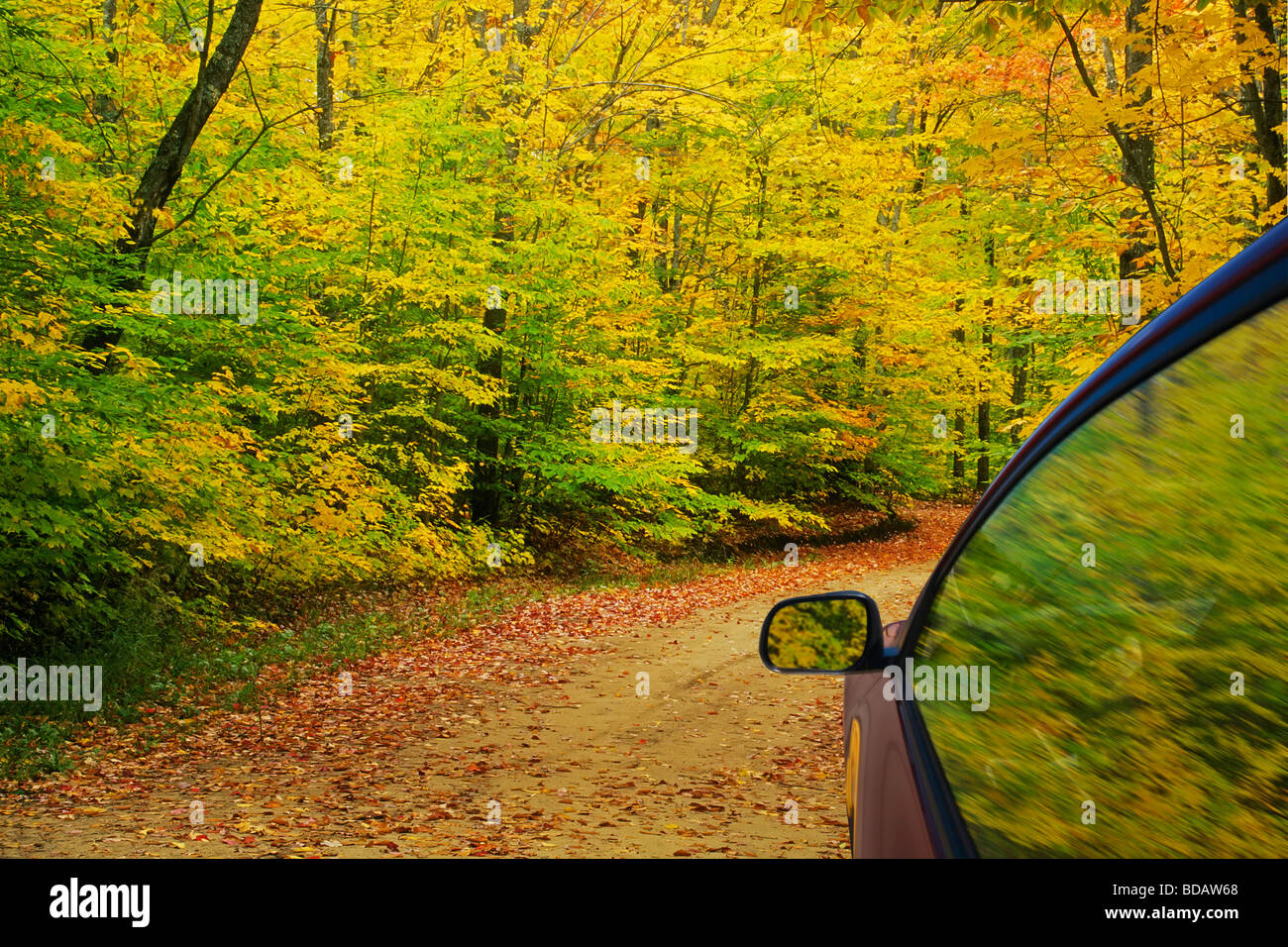 Gravel road leading through autumn colors Stock Photo - Alamy