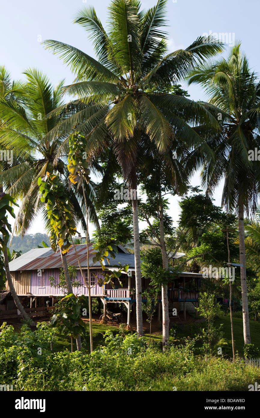 Indonesia Sulawesi Buton Labundo Bundo wooden house under tall coconut palm trees Stock Photo