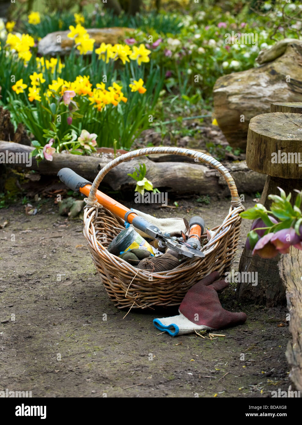 Gardeners Tools, Gloves and Basket in Spring Garden Stock Photo