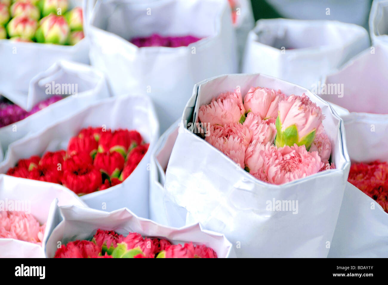 Pink and red carnations flower market Mong Kok Kowloon Hong Kong China