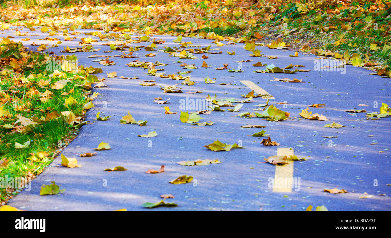 Bicycle path in fall Stock Photo