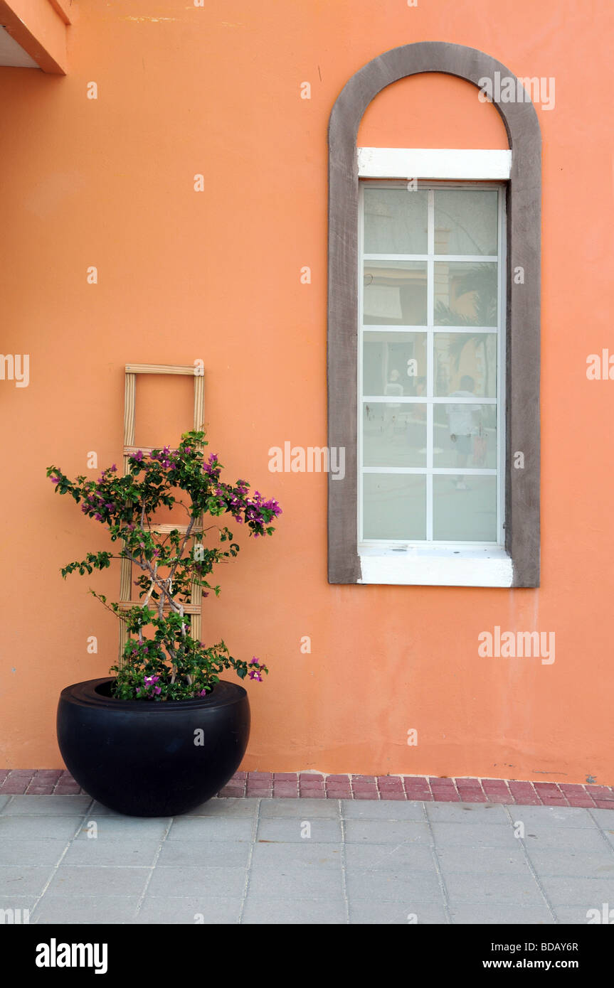 Colorful pot with buganbilia and window in the Caicos Islands British West Indies Stock Photo