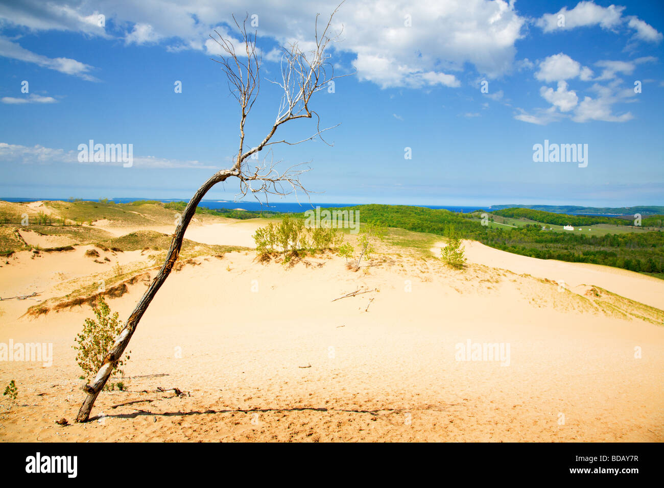 Dunes of Northern Michigan Stock Photo