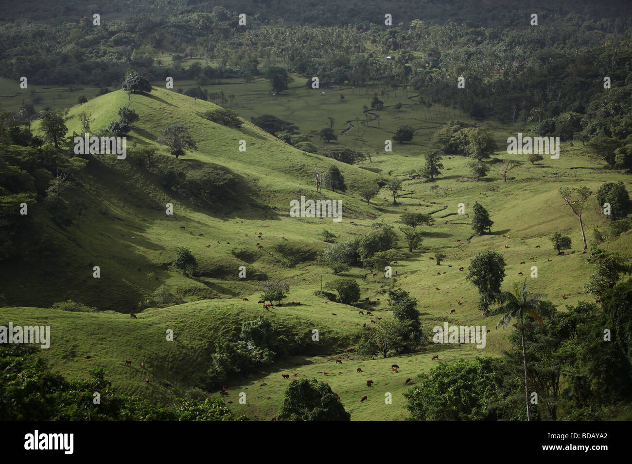 Apia, samoa hi-res stock photography and images - Alamy