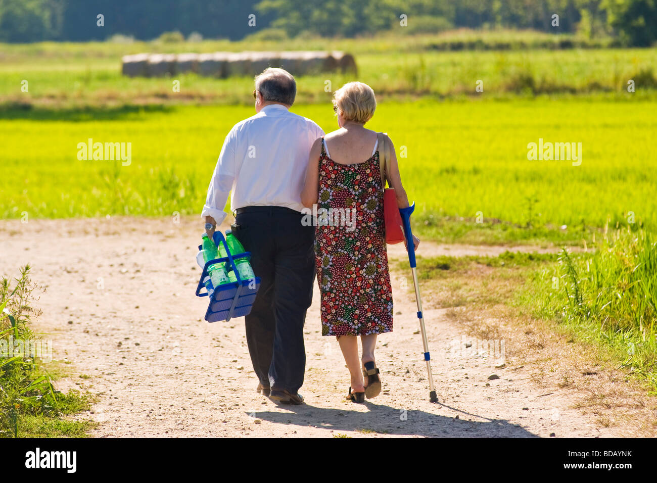 Campo of the Prevosta Garlasco province of Pavia Italy Stock Photo