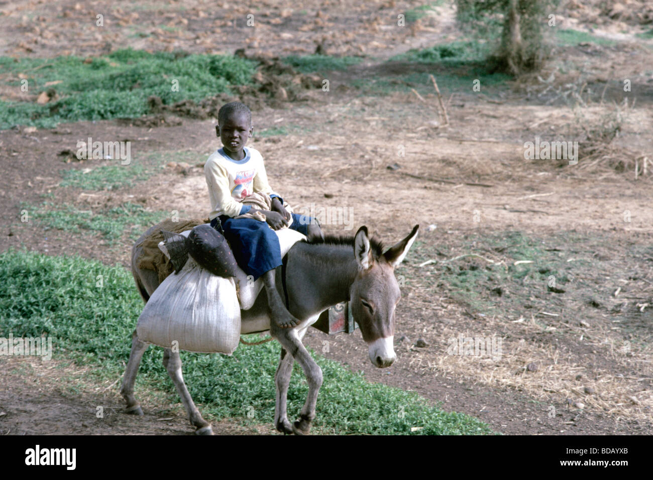 Abalak hi-res stock photography and images - Alamy