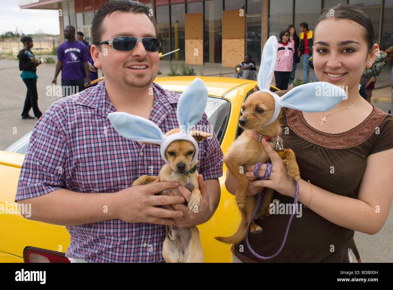 A couple with Chihuahua dogs dressed as rabbits participate in an Easter parade in El Paso, Texas. Stock Photo