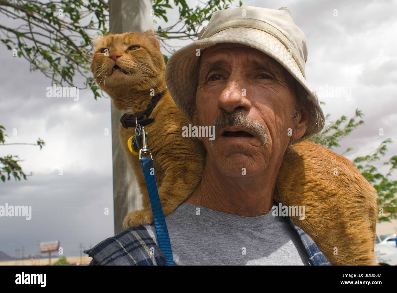 A man watches the Easter parade with his pet cat on a leash. Stock Photo