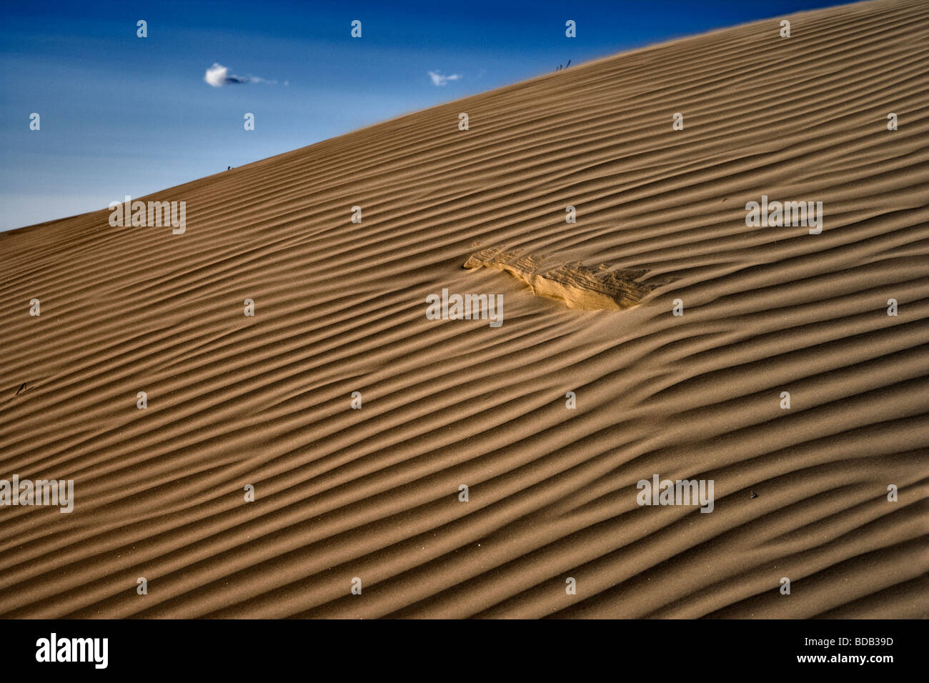 Abstract view of the sand dunes at Elsen Tasarhai (Mongol Els) north central Mongolia Stock Photo