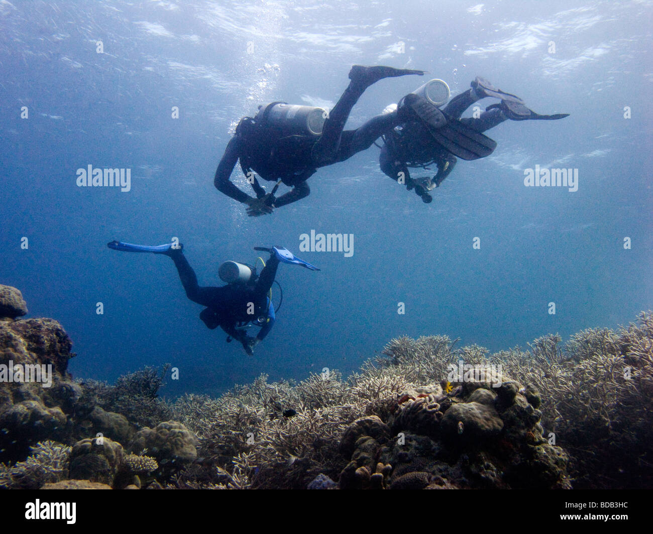 Indonesia Sulawesi Wakatobi National Park underwater young scuba divers learning to dive underwater Stock Photo