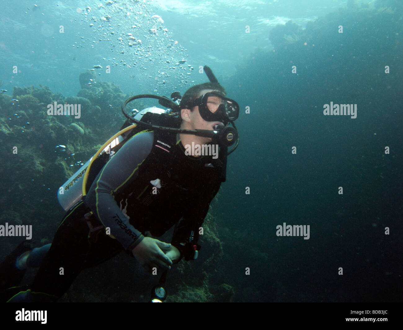 Indonesia Sulawesi Wakatobi National Park underwater young scuba diver learning to dive underwater Stock Photo