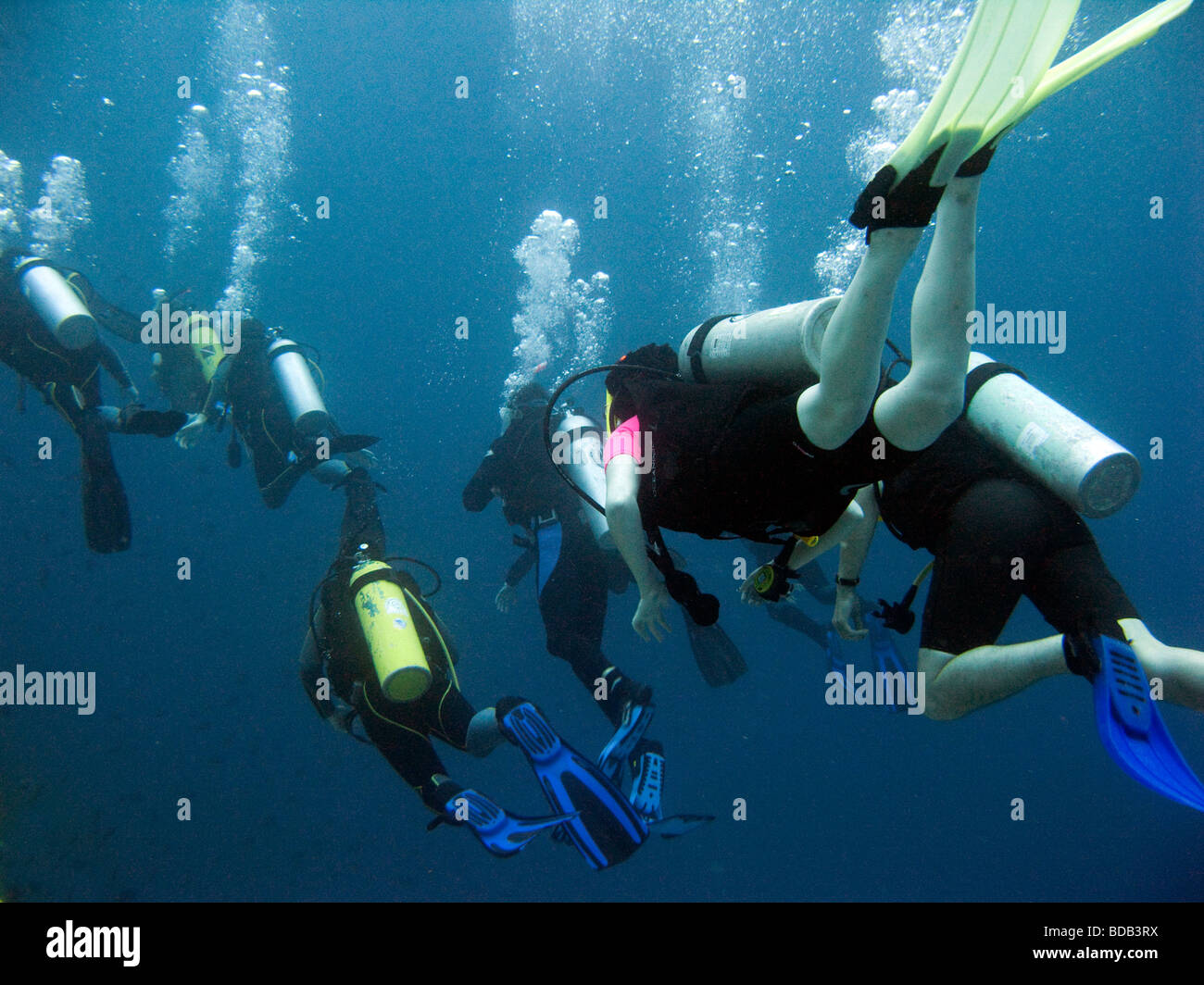 Indonesia Sulawesi Wakatobi National Park group of student open water scuba divers underwater Stock Photo