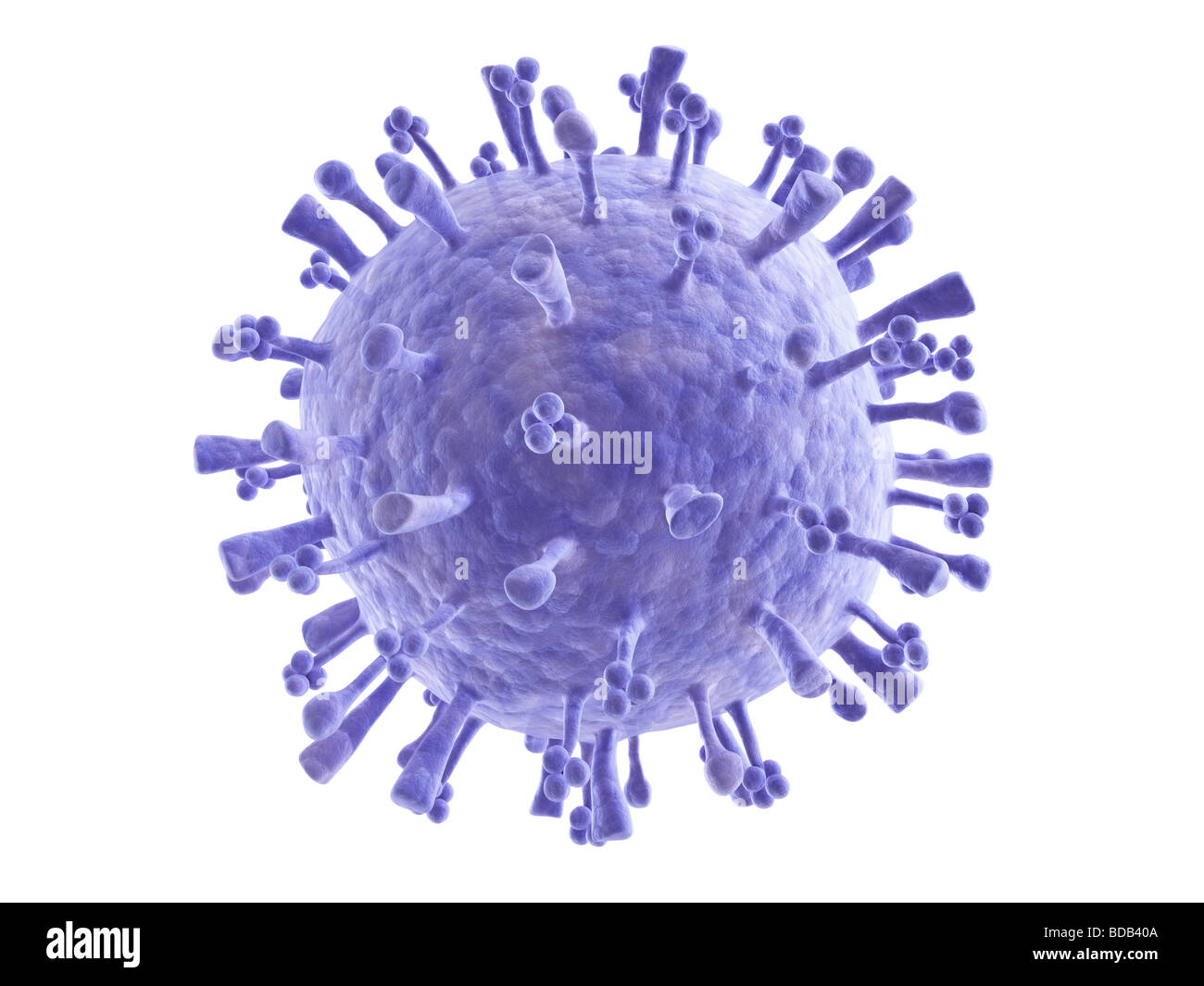 Swine Flu(Influenza) Virus (H1N1 Stock Photo - Alamy
