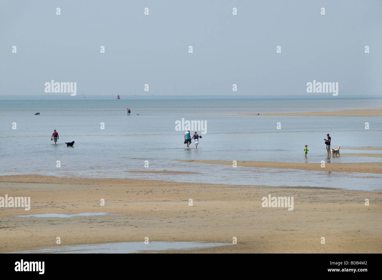 Terschelling ebb tide flood flow sea beach coast Netherlands Stock