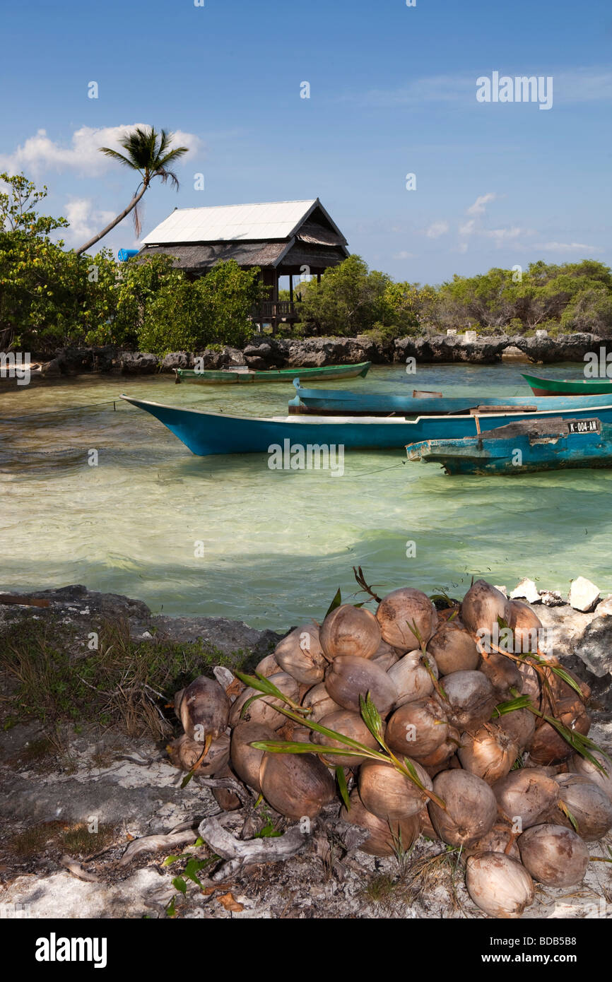 Indonesia Sulawesi Hoga Island small dugout boats moored in small bay Stock Photo