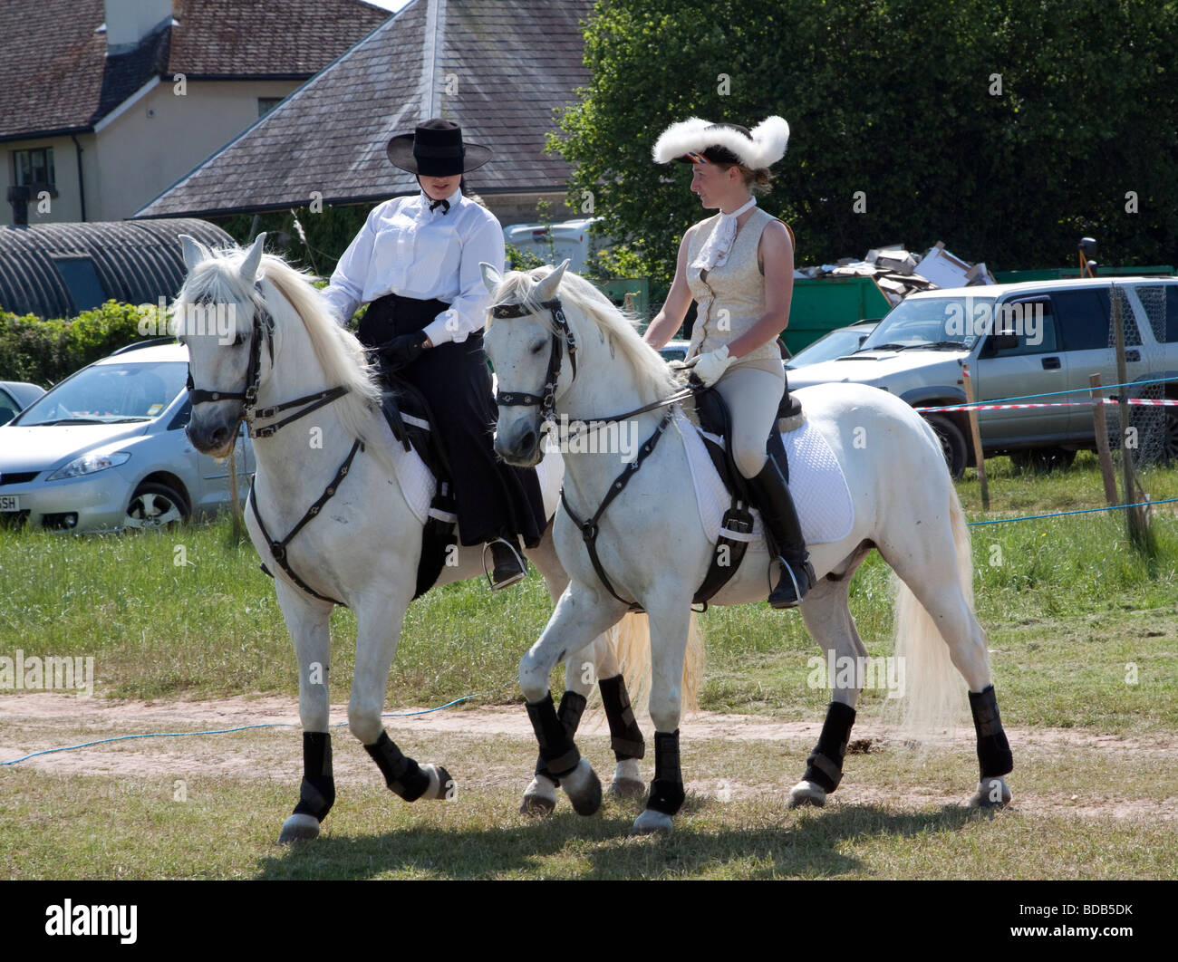 Two Lusitano horses doing a dressage demonstration at Hay on Wye Literary Festival Stock Photo