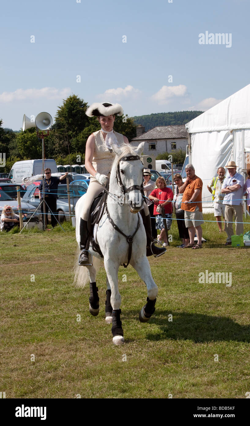 White Lusitano horse doing a dressage demonstration at Hay on Wye