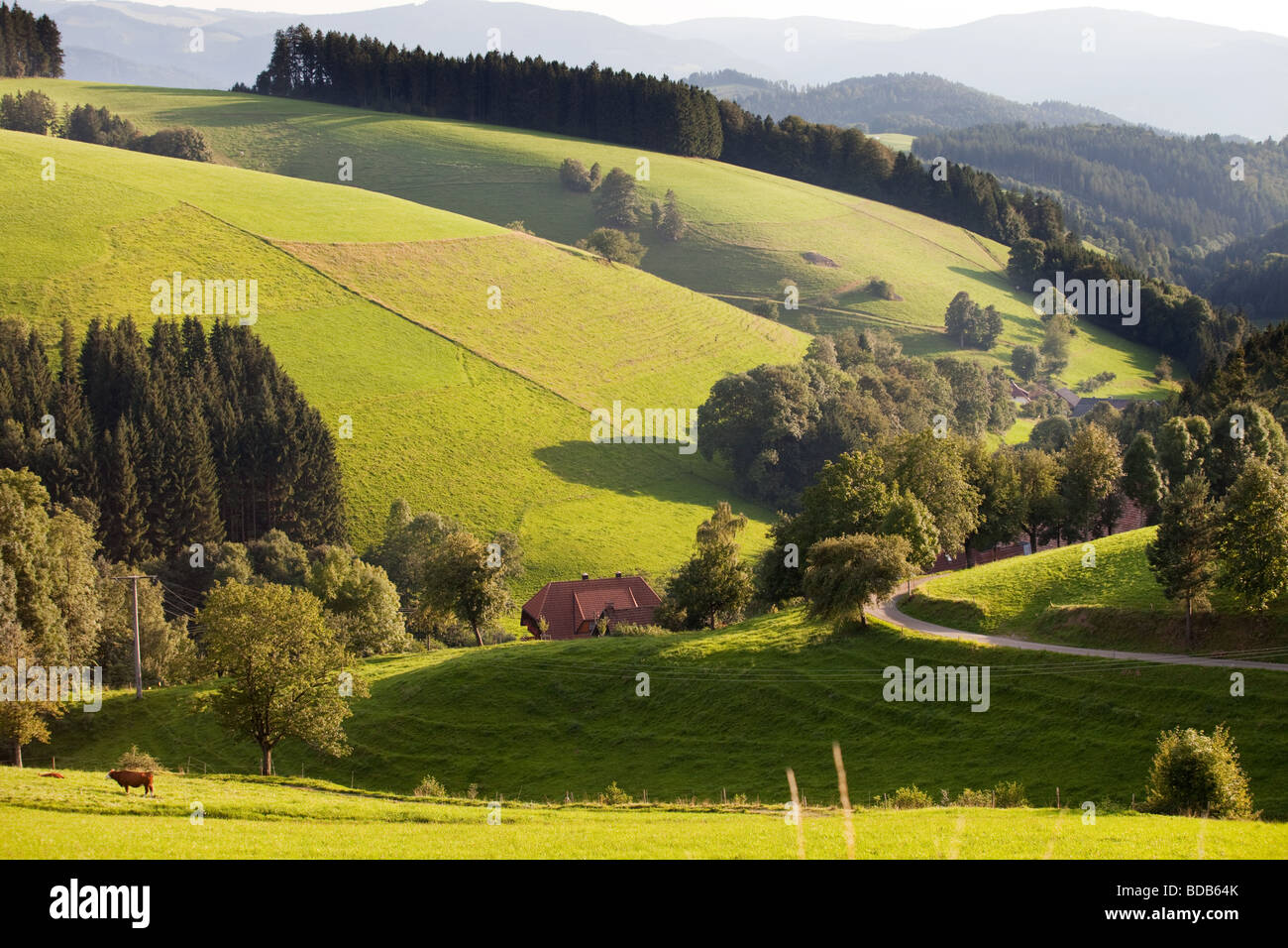 Schwarzwald landscape near St Peter, Germany Stock Photo