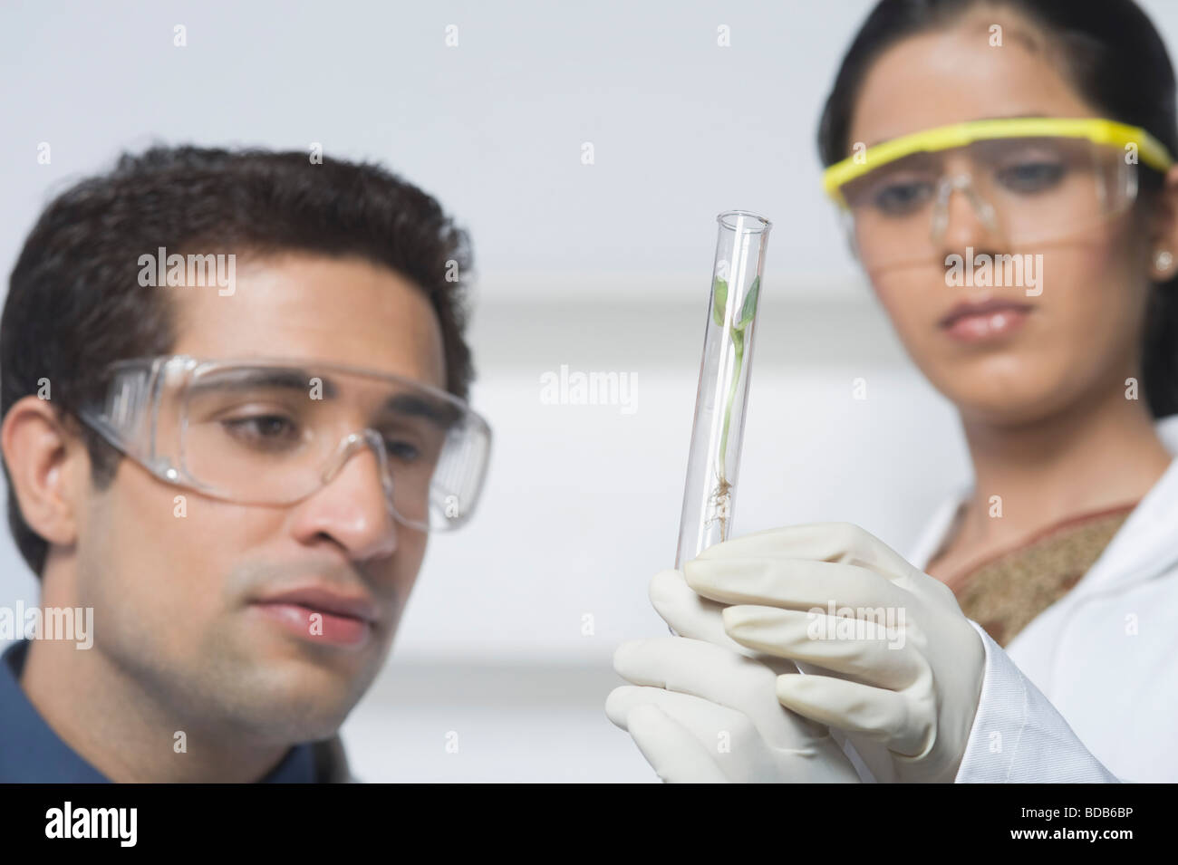 Scientists holding plants in test tube Stock Photo