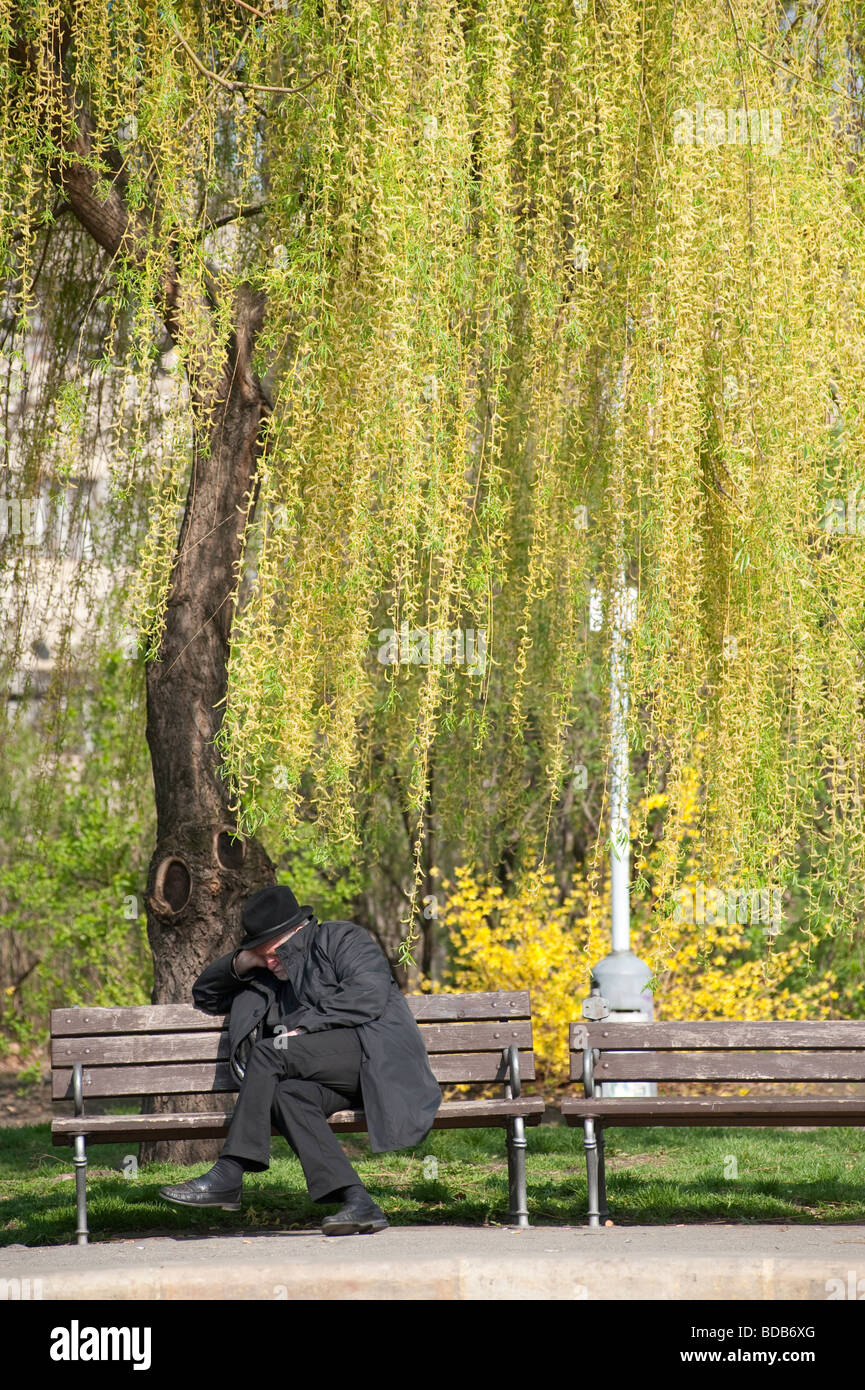 old man on park bench prague Stock Photo - Alamy