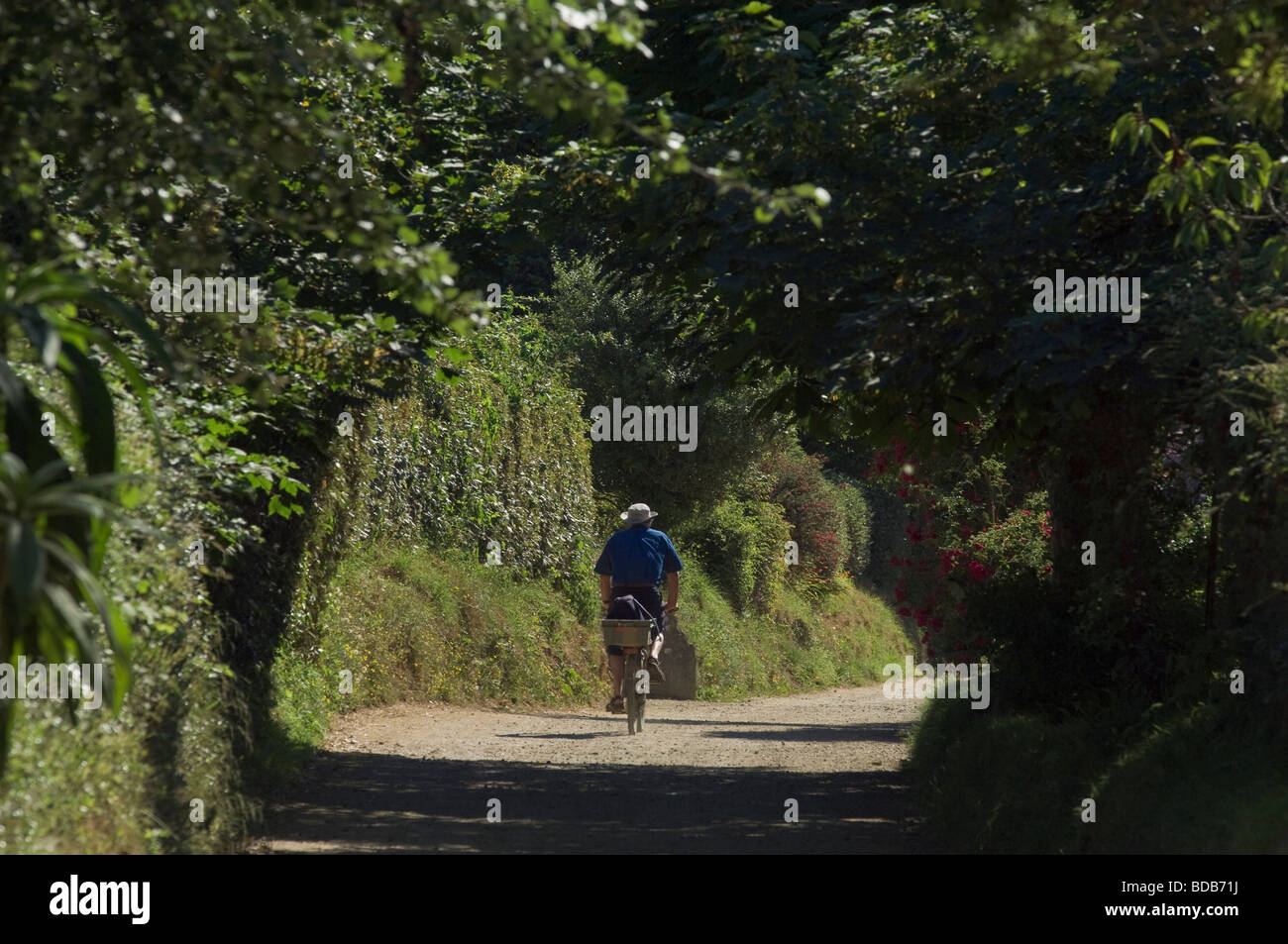 Cyclist in a country lane, Island of Sark, Channel Islands Stock Photo