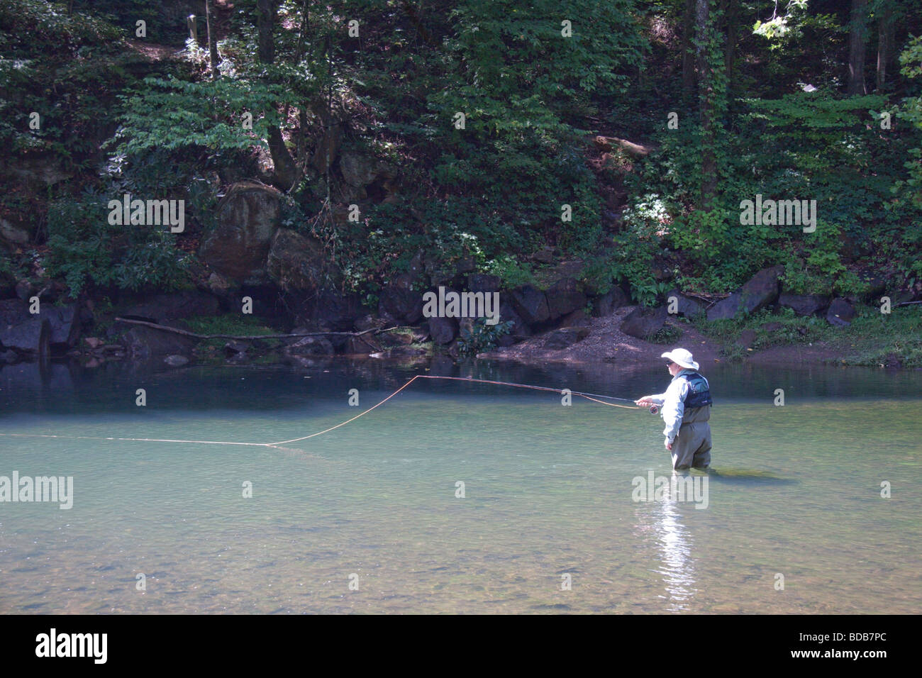 Fly fisherman in the Smith River, Virginia, USA Stock Photo Alamy