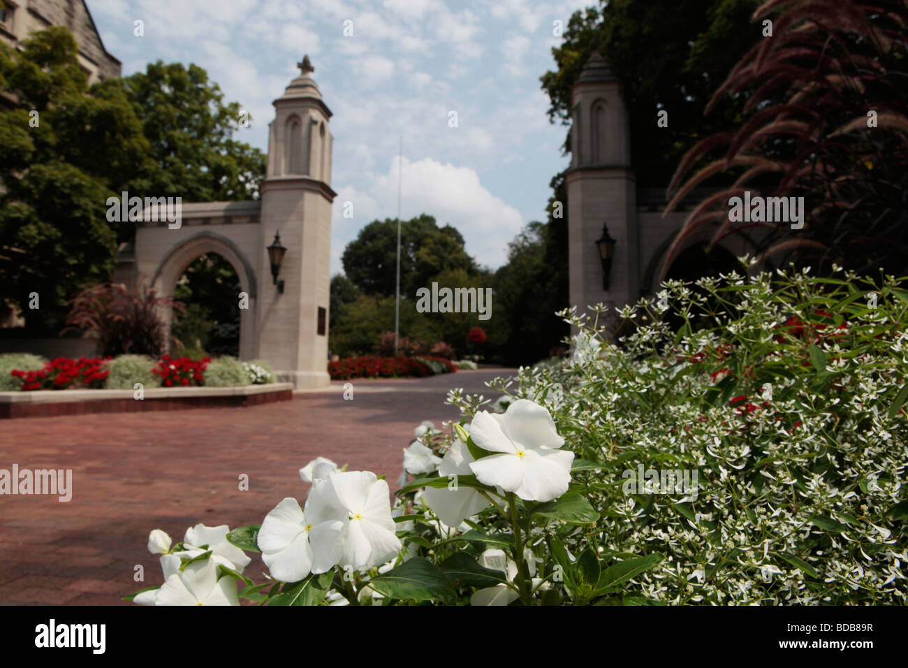 Indiana University Wallpapers - Wallpaper Cave