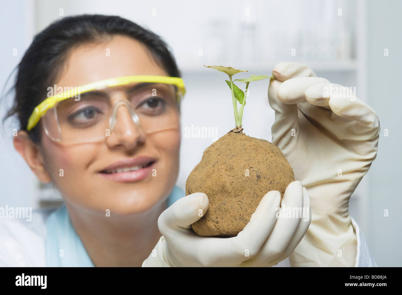 Scientist examining a plant Stock Photo
