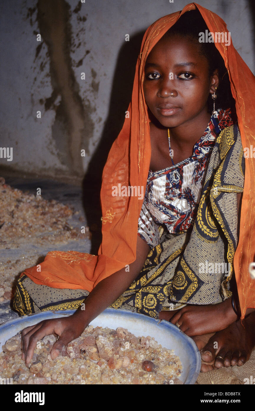 Gum Arabic. Hausa Woman Removing Straw and Dirt by Hand. Niamey, Niger