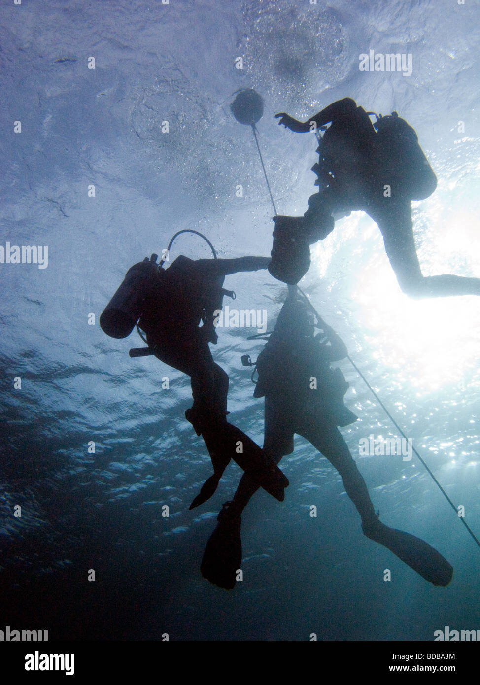 Indonesia Sulawesi Wakatobi National Park underwater scuba divers