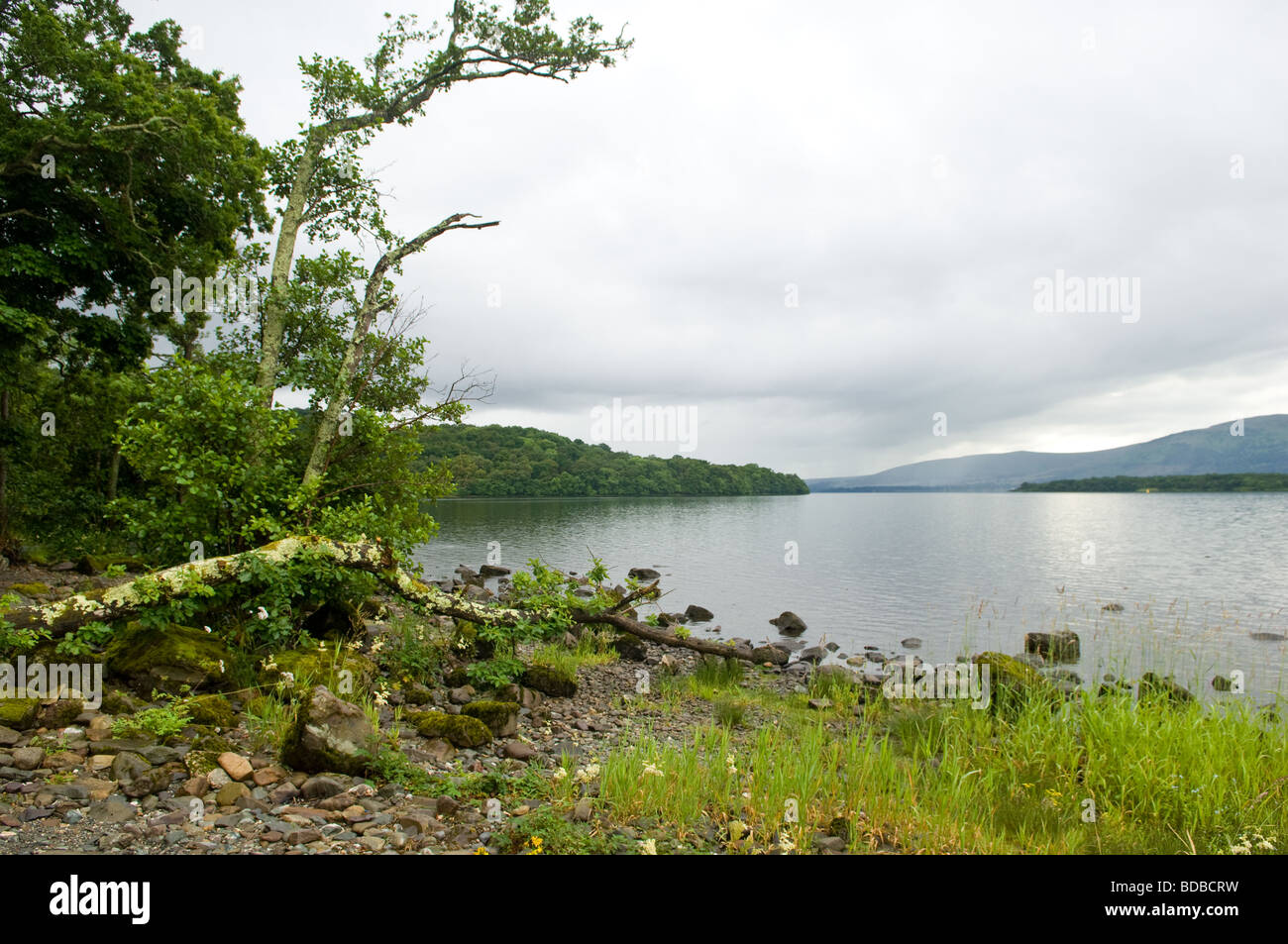 East Shore line of Loch Lomond Stock Photo