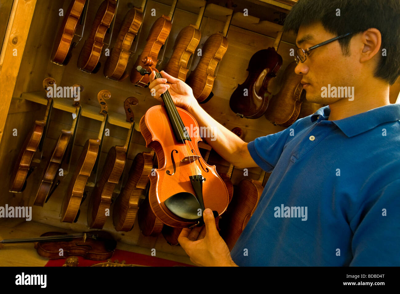 Carlson and Neumann Violin maker Cremona Italy Stock Photo Alamy