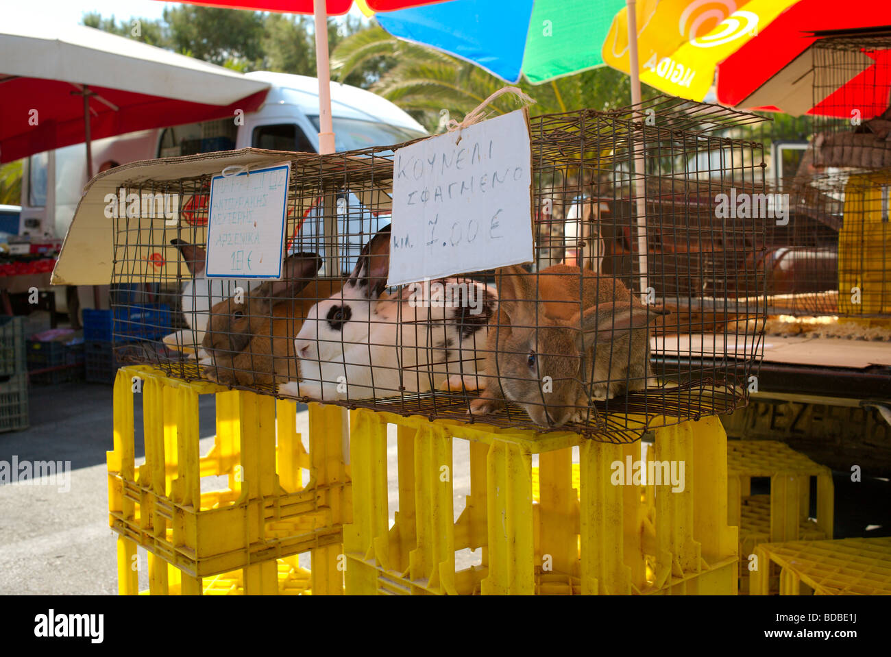 Rethymnon market stall cage with four rabbits for sale Stock Photo - Alamy