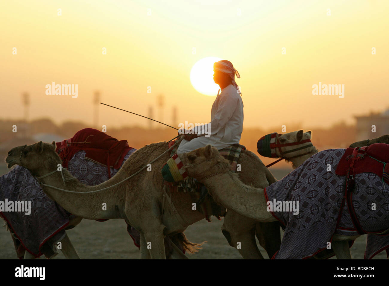 Man leading a caravan through the desert at dawn Stock Photo