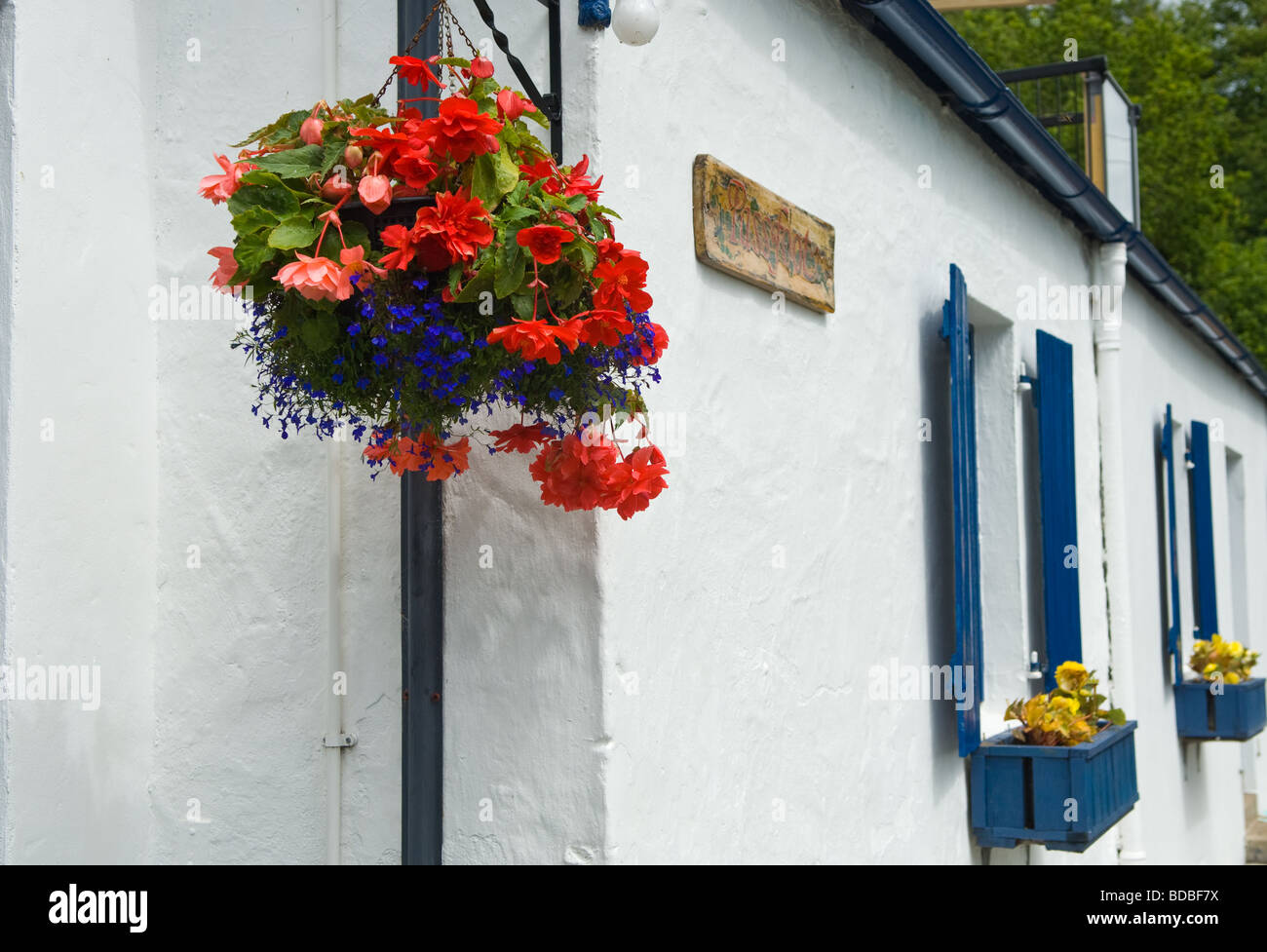 Hanging baskets of flowers hi-res stock photography and images - Alamy