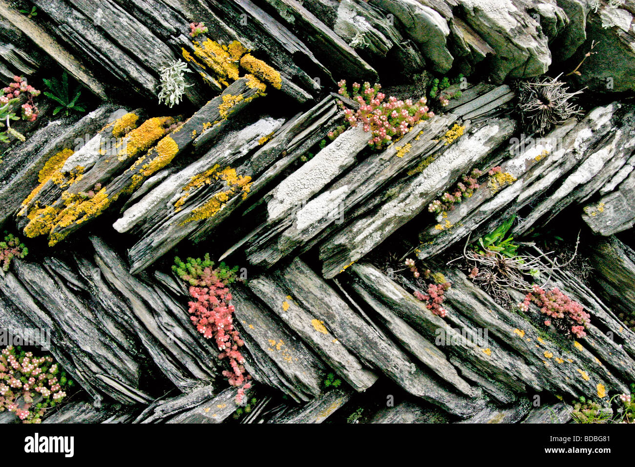 Zig zag dry stone wall hi-res stock photography and images - Alamy