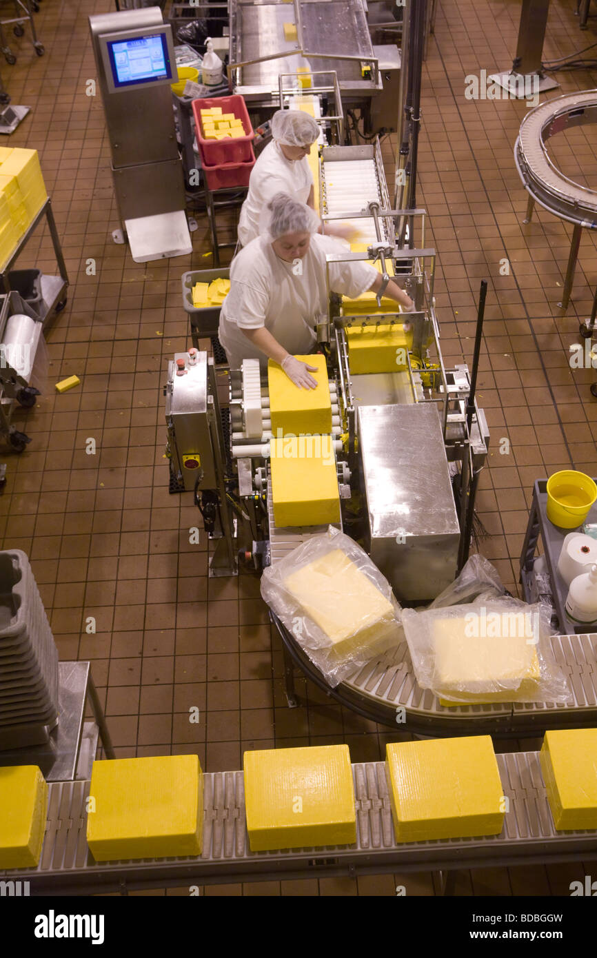 Women on the production line making cheddar cheese at Tillamook Cheese