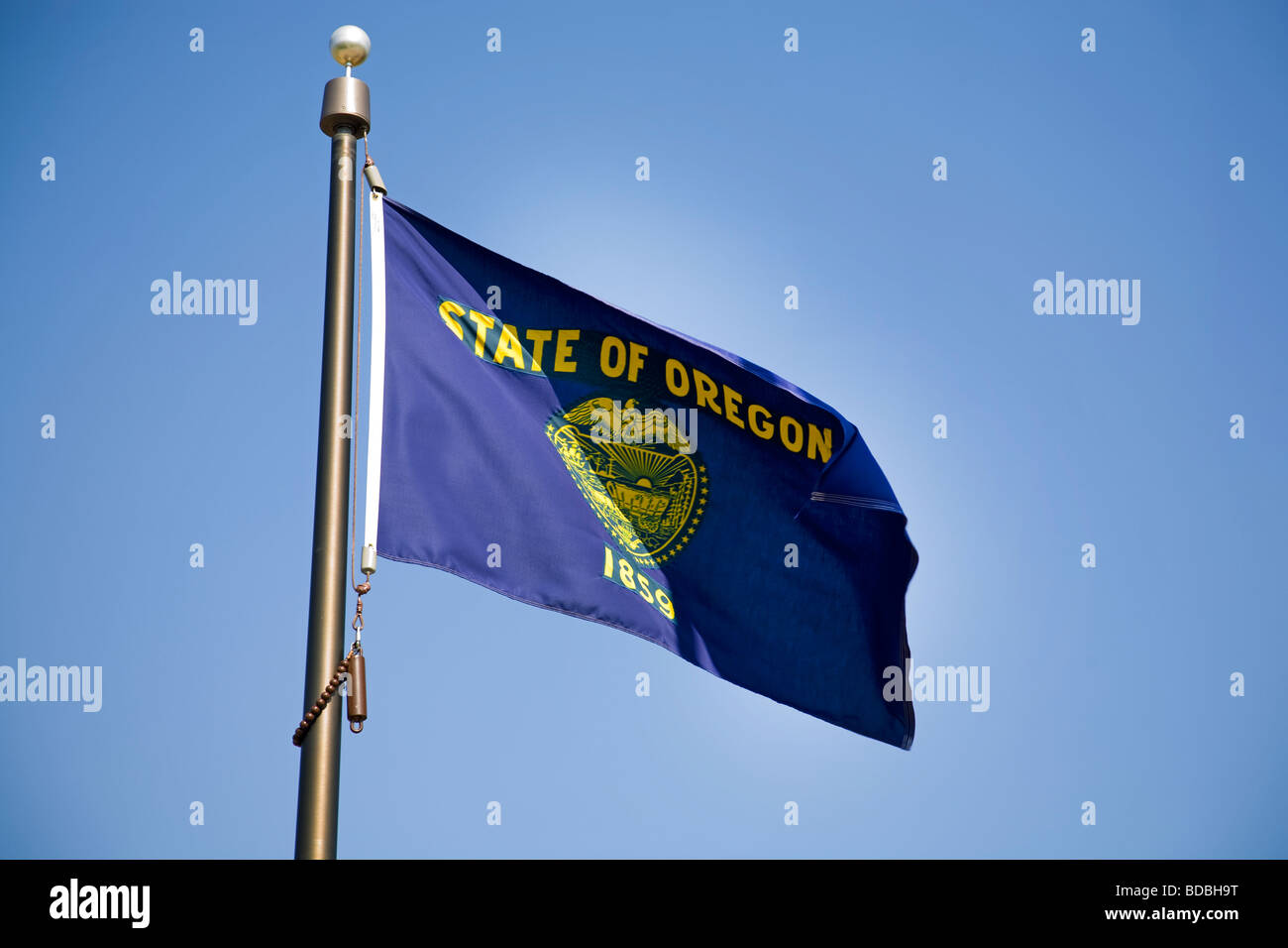 Flag of the state of oregon flag beaver state flag Stock Photo