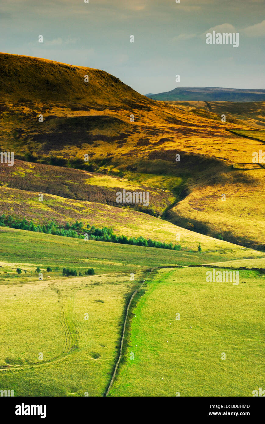 Looking across to farmers fields near Hayfield High Peak Peak district national Park Derbyshire England UK Stock Photo