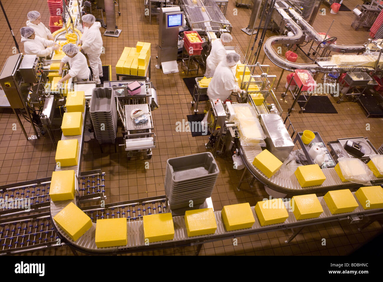 Women on the production line making cheddar cheese at Tillamook Cheese factory in Tillamook Oregon Stock Photo