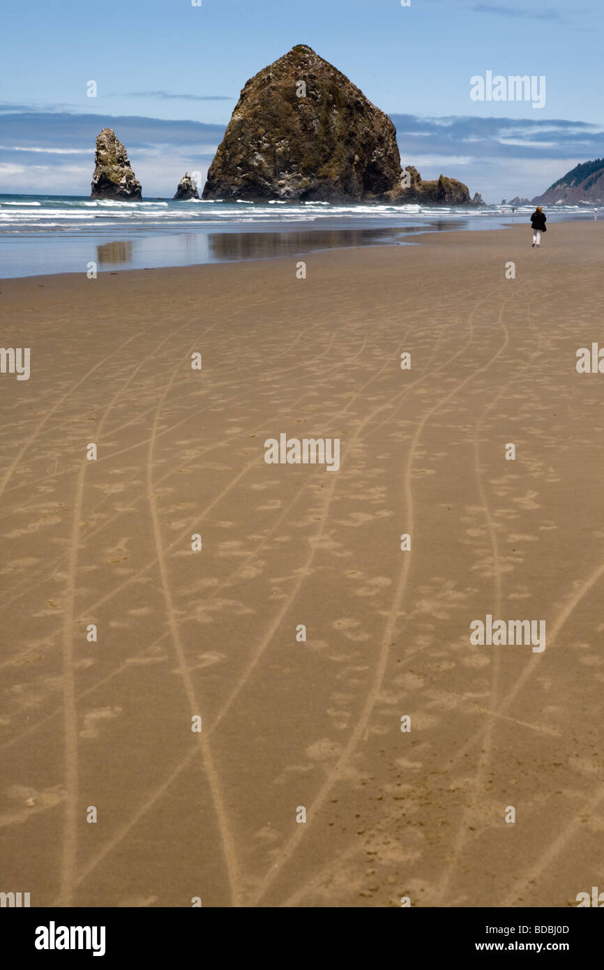 Haystack Rock is a 235 foot tall monolith aka sea stack at Cannon Beach ...