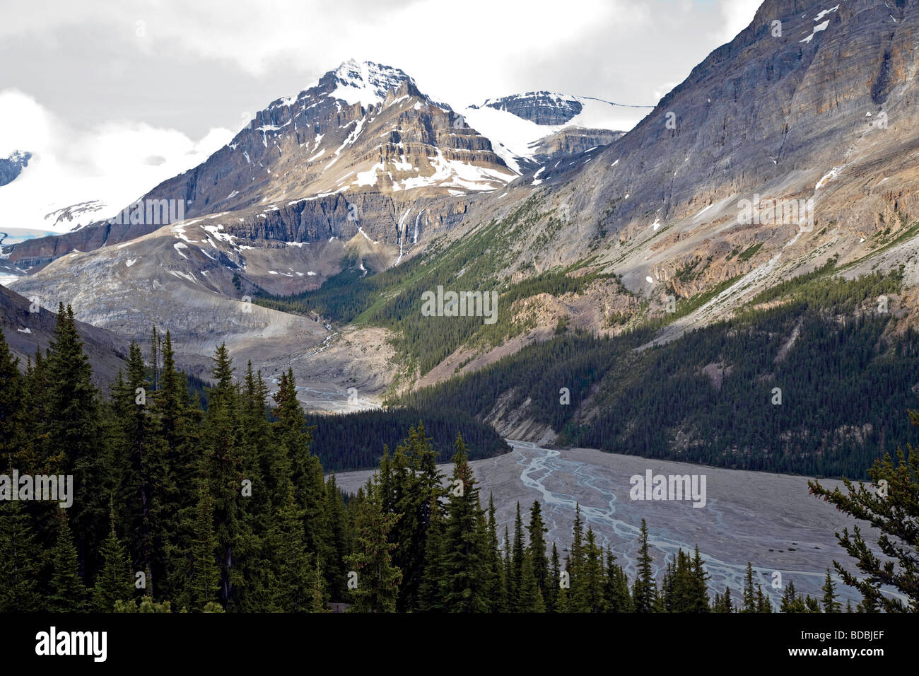 Peyto Lake Banff National Park Alberta Canada North America Stock Photo ...