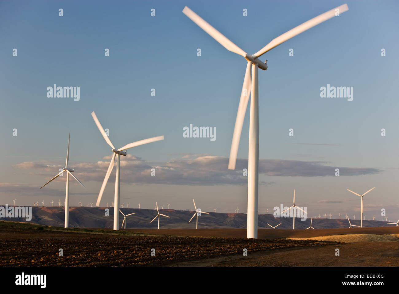 Wind farm, turbines  operating in fallow field. Stock Photo