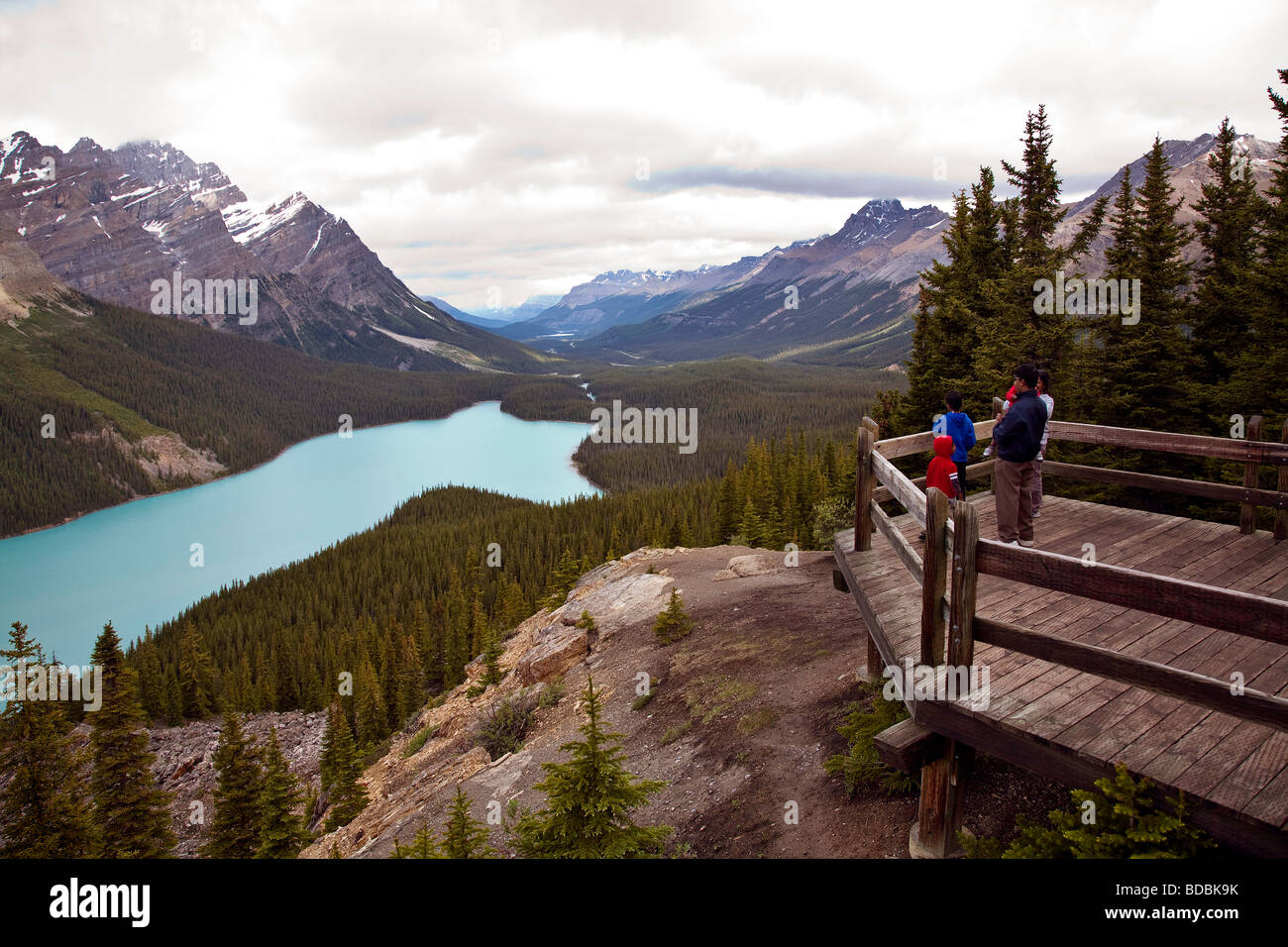 Peyto Lake Banff National Park Alberta Canada North America Stock Photo ...