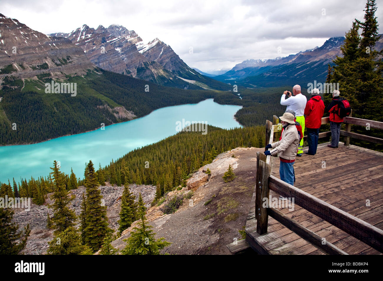 Peyto Lake Banff National Park Alberta Canada North America Stock Photo ...