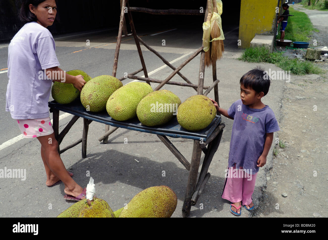 Jackfruit for sale at a roadside stall, North Luzon, Philippines Stock