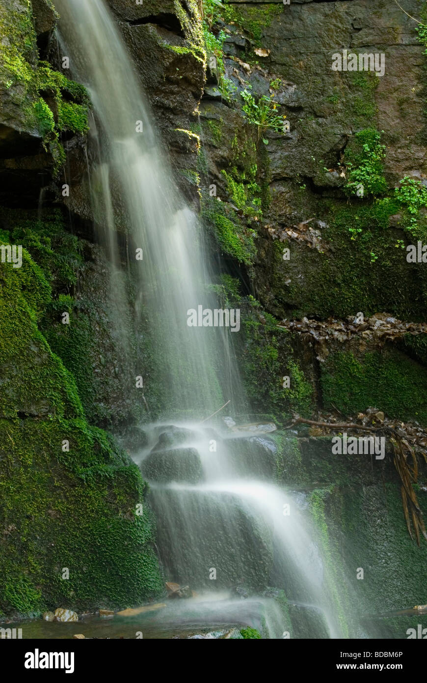 Waterfall in Fairy Glen, lancashire Stock Photo