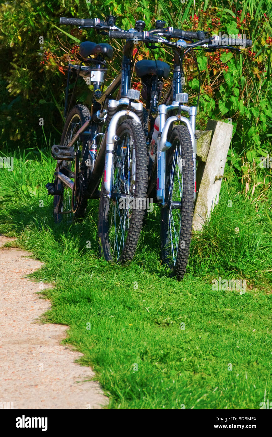 mountain bikes in stock