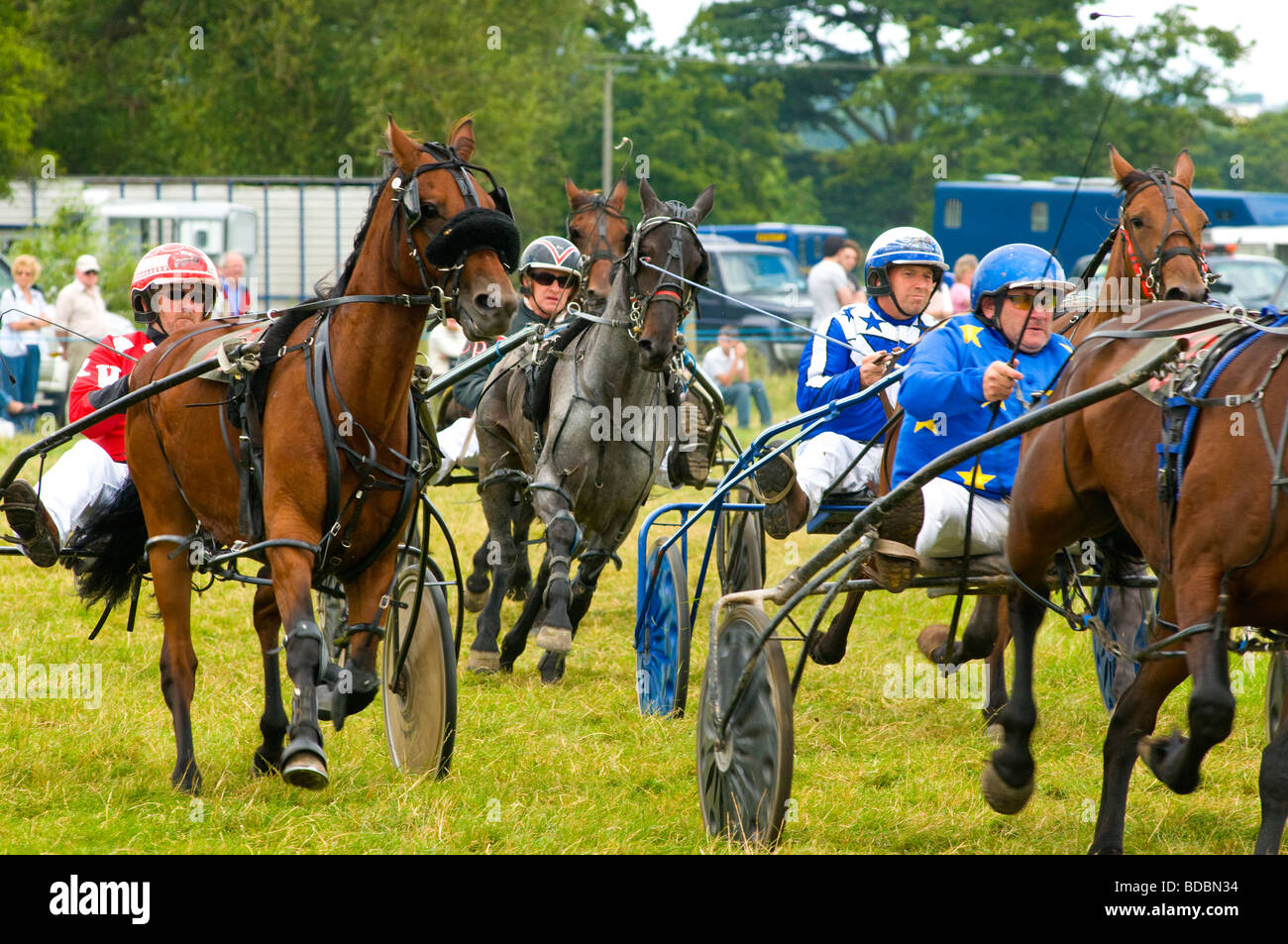Harness racing Pembridge show Herefordshire Stock Photo Alamy