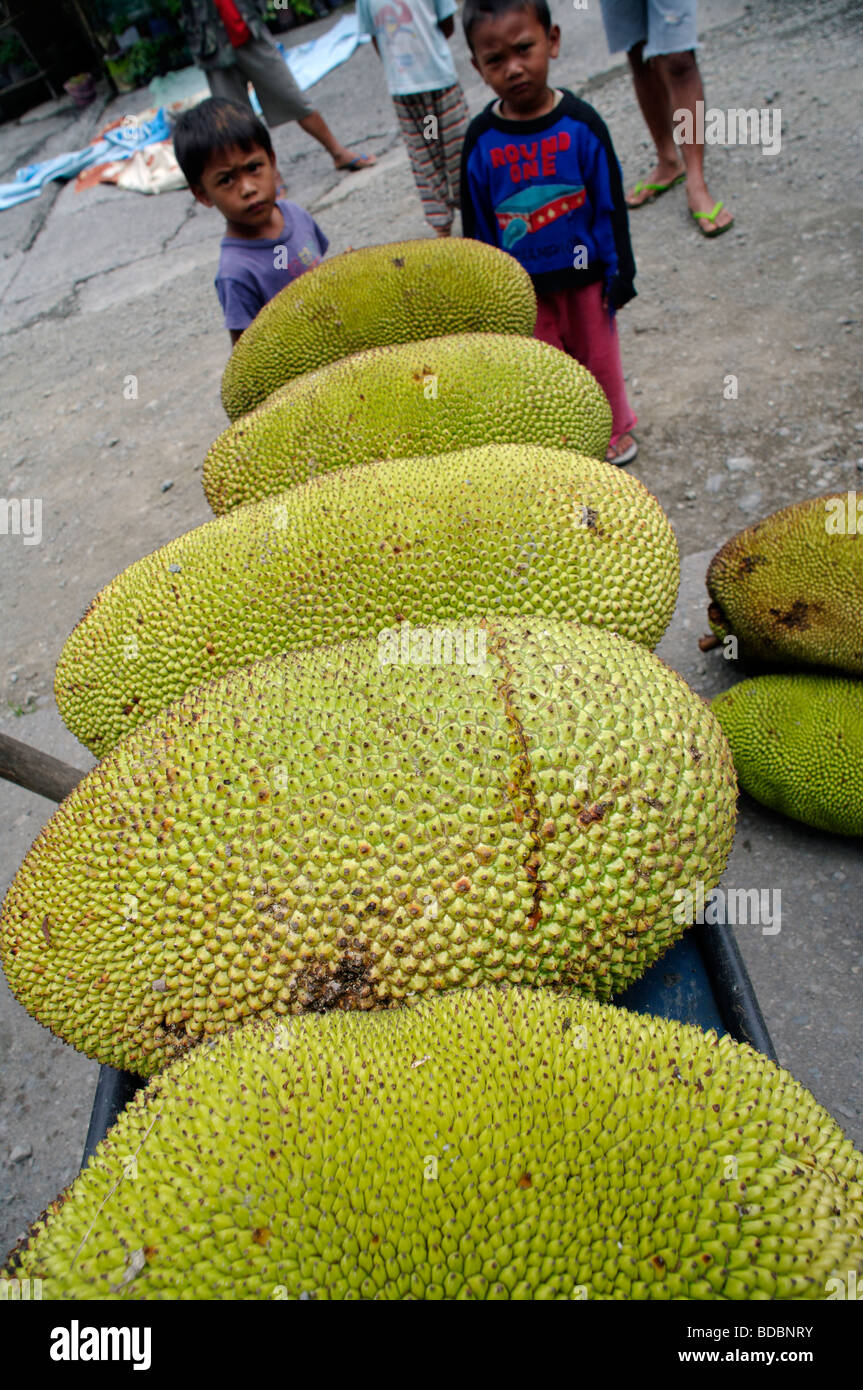 Jackfruit for sale at a roadside stall, North Luzon, Philippines Stock